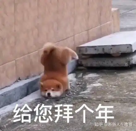 什么是吃瓜
