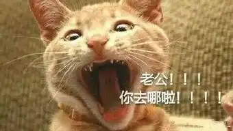 喊老公表情包笑话频道
