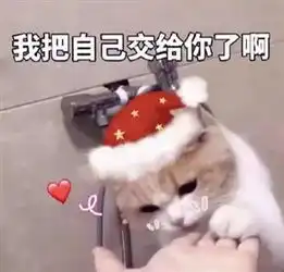 精选图片帖如东论坛

