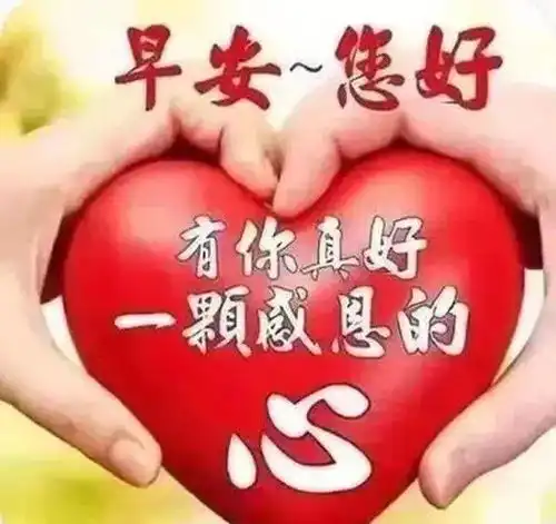 2020新版微信群发暖人的短信早安句子,温馨早晨好鲜花动态表情图片
