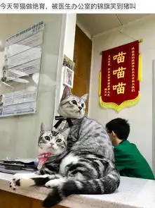 碉堡了,这个学校期末考试表情包.....
