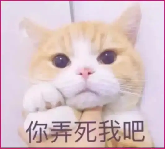 qq怼人专用表情包我看你是脑袋里进大米粥了
