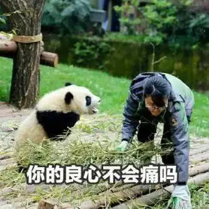 厉害啦我的哥贺州男子一夜狂偷4000斤芋头,连警察都惊呆了
