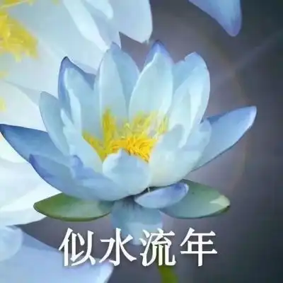 君兮染安度晚年
