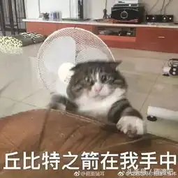 别拍了快来救我
