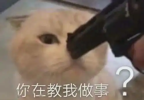 e句话看天下丨孟佳观众喜爱度倒数第一
