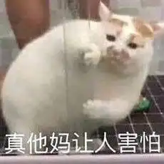 再问自杀这些你们一天发800次的表情包网红到底是谁vol.2
