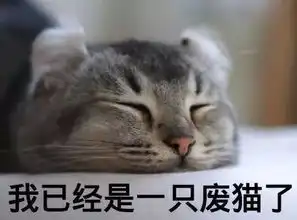 到底怎样才能抵抗猫的魅力
