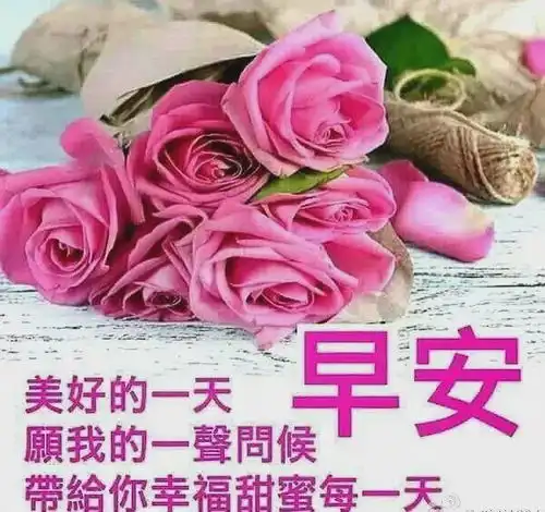 2020年第65期每天经典正能量早安心语,朋友圈你好
