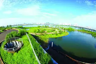 河东新区创意抒写城市之绿
