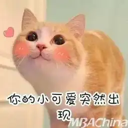 百团汇绽精彩纷呈,川师锦鲤新鲜出炉
