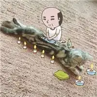 搞怪大叔微信头像图片微信头像图片大全
