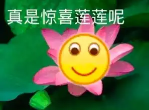 曾轶可伸张正义反被收拾,这下真的凉凉了
