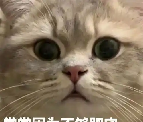 认清现实吧,表情包打不过你,握手言和吧
