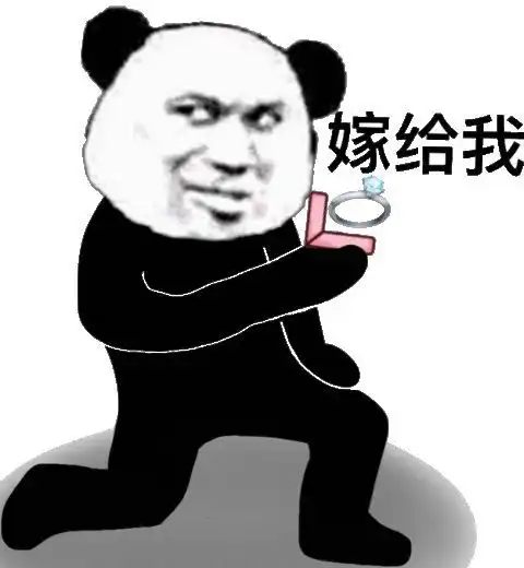 嫁给我熊猫头熊猫嫁给表情
