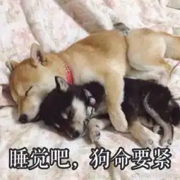 这只蜗牛白羊座的微博微博
