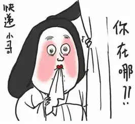 如果没有飞一般的快递,人生还怎么美丽
