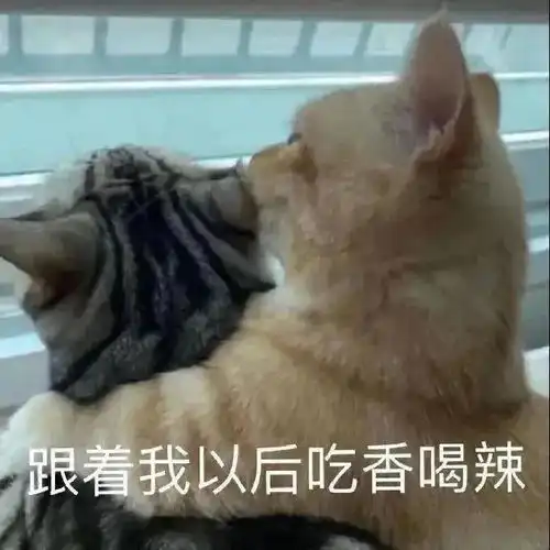 618灵魂拷问钱都去哪了原来我的颜色是囊中羞色
