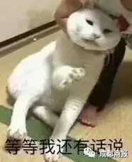 猫咪染上偷瘾,叼回邻居小姐姐的拖鞋然后这个招领启事火了
