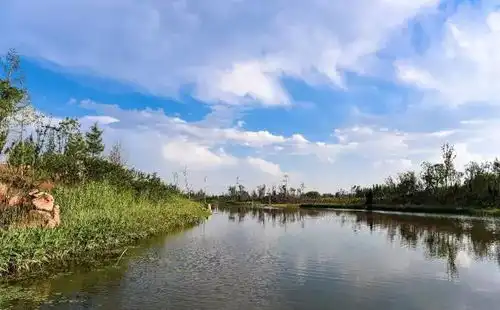 西北环保督察组一行莅临澽水河生态景观项目考察
