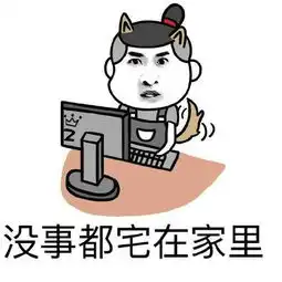 二姑娘网络创业真实经历一
