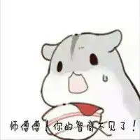 仓鼠表情包整套微信头像图片大全
