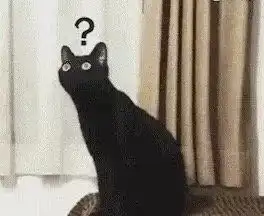 第一次听马勒音乐的黑猫,贡献了一波沙雕表情包
