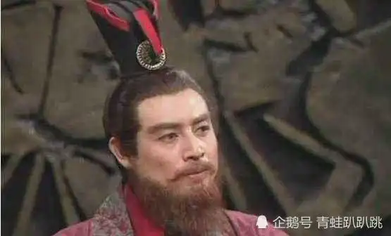 孙权你死以后,这两人必造反诸葛亮放心我早就安排好了
