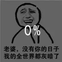 美好的一天从爱老婆开始表情包没有你的日子我的世界都暗了
