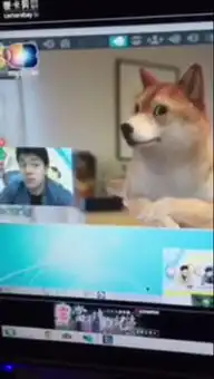 求这个是什么软件,视频后里面的柴犬会模仿你的表情的
