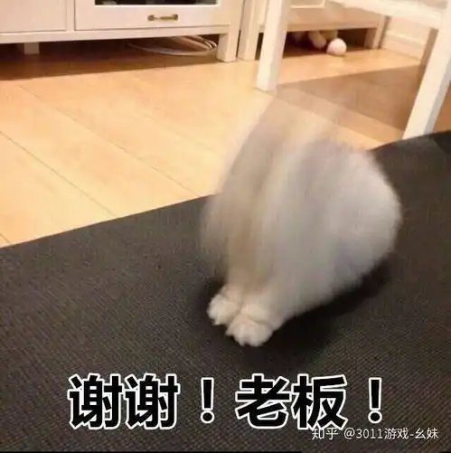 游戏资讯小破岛霸主之争,你就是天选之人
