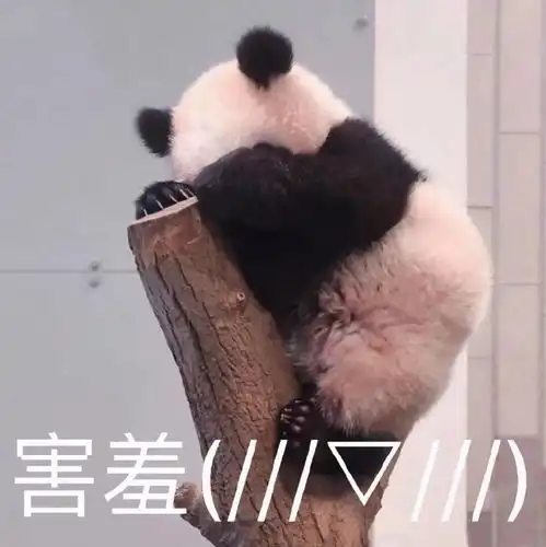 表情包给我闭嘴你个窝囊废
