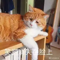 297升温降温降雨升温合肥天气又开启虐心节奏

