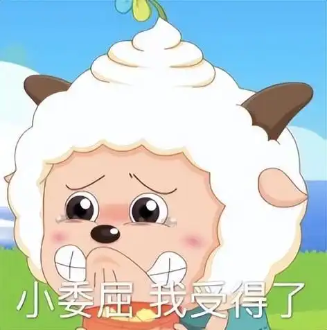 花了几万块才敢出的买买买推荐

