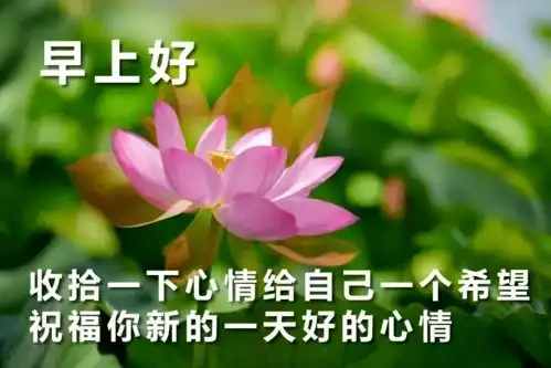 2020大家早上好祝福语图片秋季十月好看的早上好问候静态图片表情大全
