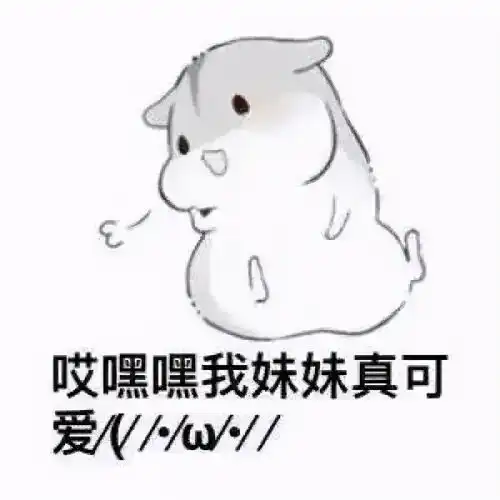 超超可爱的小仓鼠表情包,快去把你家男朋友喊过来看看
