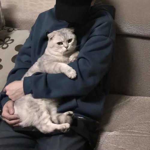 值得换的一组微信头像
