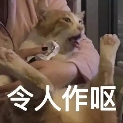 上海名媛,就这最佳出价爱情骗局揭秘名媛真实面目

