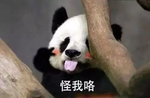 2019年日本沙雕新闻大赏橘猫妨碍公务被抓给中国熊猫庆生时闻其粪便......
