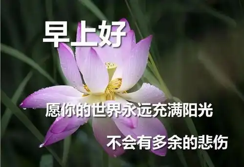 愿你的努力不负青春,望你的人生终将闪耀,早安
