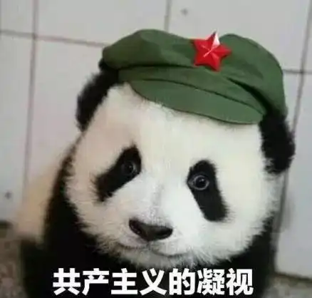 信用卡不良记录如何破解

