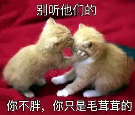 你不胖你只是毛茸茸的表情无水印
