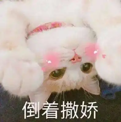 猫咪彻底爱上你后,反而会变得很奇怪,别不信
