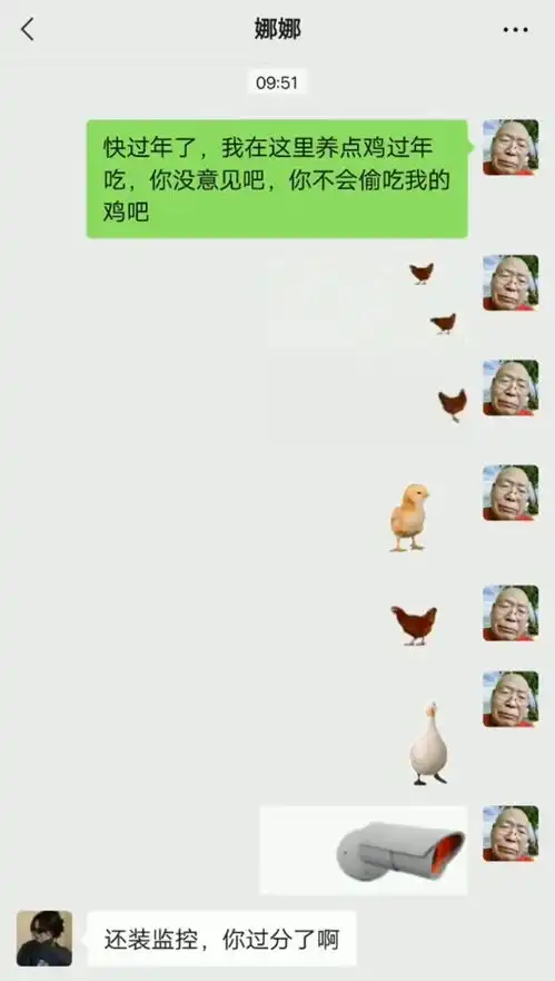 表情包养鸡过年吃
