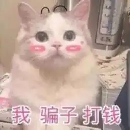 收款时记得盯紧这个功能选项,莫让骗子钻了空子
