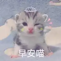 微信表情包早上好图片
