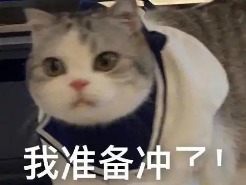 团学招新,进来康康绿色项目组专场
