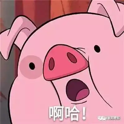 所有人,答题领红包,100个口令红包,你还不行动
