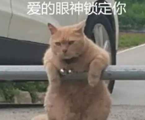 停车场的管理者原来是只橘猫,表情严肃,凶巴巴的看着车主

