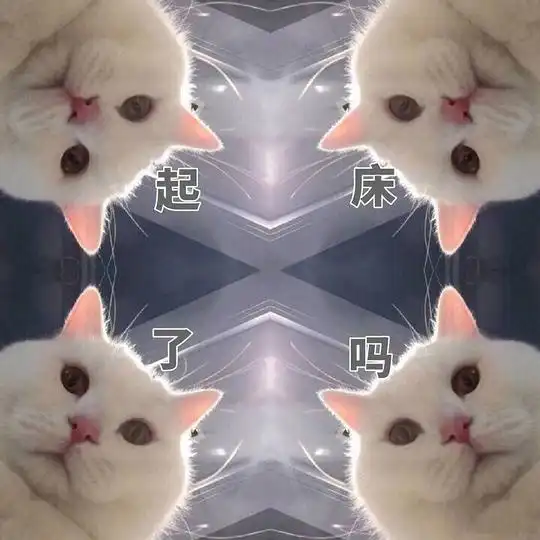 一只大猫猫的相册猫咪表情包
